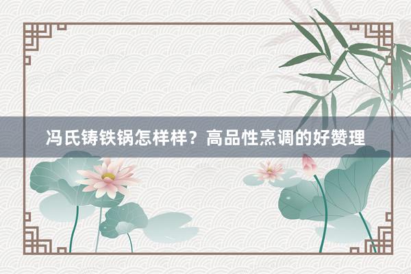 冯氏铸铁锅怎样样？高品性烹调的好赞理